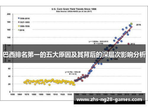巴西排名第一的五大原因及其背后的深层次影响分析